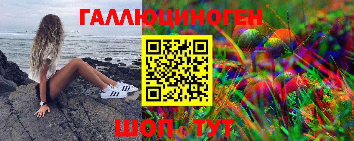 Псилоцибиновые грибы мухоморы  закладки  Псилоцибиновые грибы Cubensis  Северобайкальск  Вход с VPN 